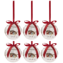 Set Of 6 Winter Robin Baubles