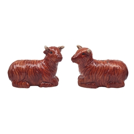 Animal Design Salt And Pepper Set