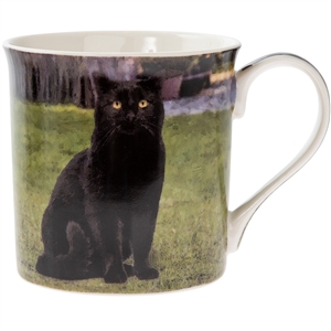 Black Cat Mug 12cm