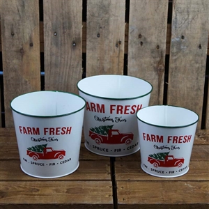 Set Of 3 Farm Fresh Christmas Pots