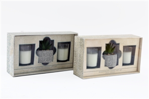 Succulent And Candle Gift Set 2 Assorted 22cm