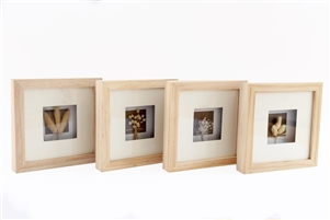 Dried Flowers In Wooden Frame 4 Assorted 18cm