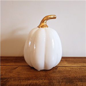 Ceramic Pumpkin Wholesaler Supplier