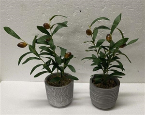 Artificial Olive Plant In Pot 55cm