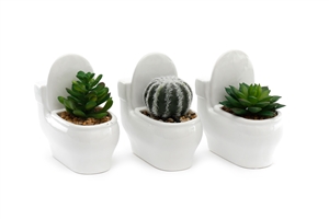 Toilet Pot Succulents 3 Assorted 10x7x13cm