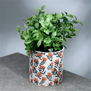 Medium Ceramic Pick Of Bunch Indoor Plant Pot 8cm