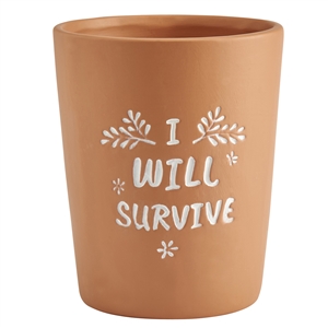 I Will Survive Terracotta Planter