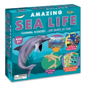 Amazing Activity Set  Sea Life