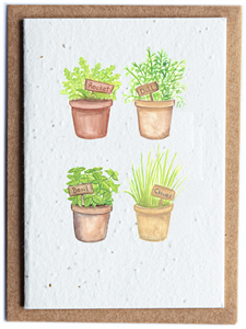 Plantable Herb Seed Card - Herb 4 Pots