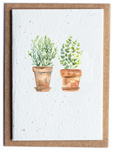 Plantable Herb Seed Card - Herb 2 Pots