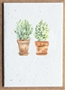 Plantable Herb Seed Card - Herb 4 Pots