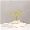 Small Gemstone Tree - Peridot 15cm