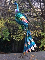 Vivid Metal Peacock with Head Turned 92cm