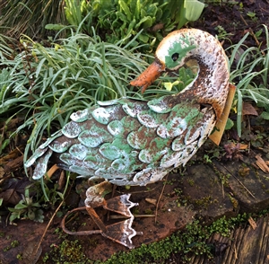 Dennis Duck Pale Green 26cm