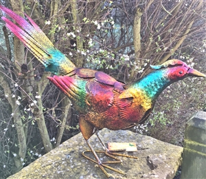 Pheobe the Vivid Metal Pheasant 60cm (A)