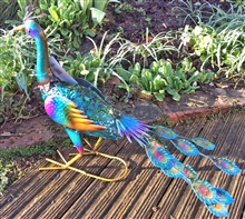 REDUCED Peter the Sitting Metal Peacock 50cm