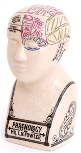 Antique Ceramic Phrenology Head 16cm