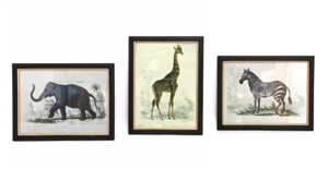 Safari Animal Print Frame 3 Assorted