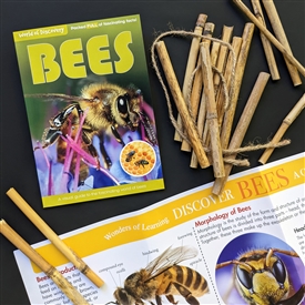 World Of Discovery Box Set - Bees