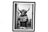 Cow Tiolet Framed Canvas 60cm