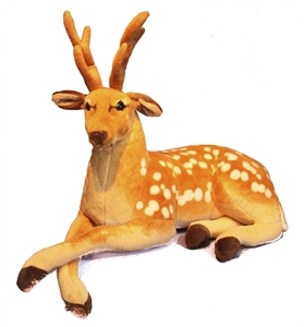 Lying Deer