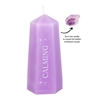 ##Calming Crystal Unscented Candle with Rough Amethyst Crystal