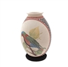 Parrot & Hummer Pot Genuine Hand Coiled Mata Ortiz Pottery