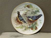 Bird Collector Plate Vintage Corsican Nuthatch European Songbirds Collection on Fine China by Tirschenreuth - 1986