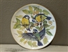 Bird Collector Plate Vintage Eurasian Blue Titmouse - European Songbirds