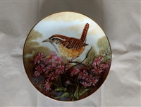 Carolina Wren Vintage Collector Plate 1983 Songbirds of the South