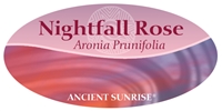 Nightfall Rose powder