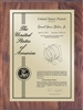 Patent Plaques Custom Wall Hanging Contemporary Patent Plaque - 9" x 12" Gold and Walnut.