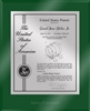 Patent Plaques Custom Wall Hanging Ultramodern Contemporary Patent Plaque - 10.5" x 13" Silver and Green Acrylic.