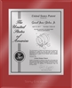 Patent Plaques Custom Wall Hanging Ultramodern Contemporary Patent Plaque - 10.5" x 13" Silver and Red Acrylic.