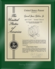 Patent Plaques Custom Wall Hanging Ultramodern Contemporary Patent Plaque - 8" x 10" Gold and Green Acrylic.