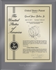 Patent Plaques Custom Wall Hanging Ultramodern Contemporary Patent Plaque - 8" x 10" Gold and Translucent Grey Acrylic.