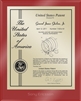 Patent Plaques Custom Wall Hanging Ultramodern Contemporary Patent Plaque - 8" x 10" Gold and Red Acrylic.