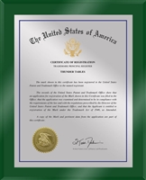 Patent Plaques Custom Wall Hanging Ultramodern Traditional Trademark Plaque - 10.5" x 13" Silver and Green Acrylic.
