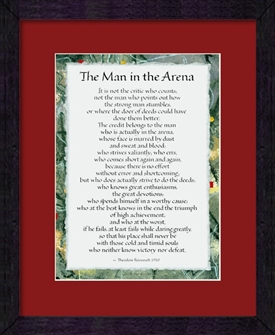 the man in the arena