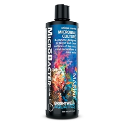 Brightwell Aquatics Microbacter Clean 500 ml