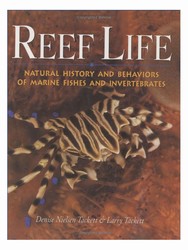 Reef Life (Paperback)