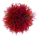 BiOrb Red Color Ball