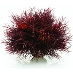 BiOrb Crimson Sea Lily