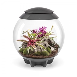 BiOrb Air Grey 60L Terrarium