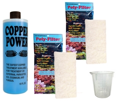 Copper Power 16 oz Marine COMPLETE TREATMENT Package