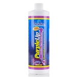 CaribSea Purple-Up Coralline Algae Accelerator 16 oz