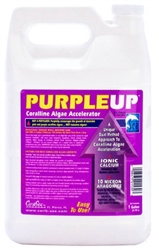 CaribSea Purple-Up Coralline Algae Accelerator 1 gallon