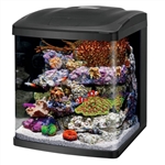 Coralife Size 16 LED BioCube Aquarium