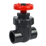 FijiCube 1" Slip X Slip Schedule 80 Gate Valve