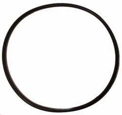 Fluval Replacement Motor Head Seal Ring (Gasket) for 104/105/106/107/204/205/206/207 Filters (A-20038)